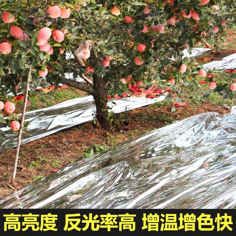 金华市po膜果树反光膜 - 推荐